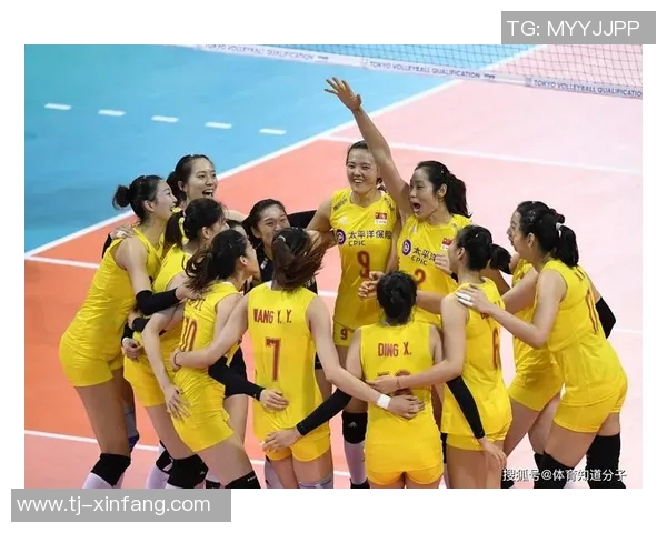 广州排球队实力强劲荣登全国排球实力排行榜第四名